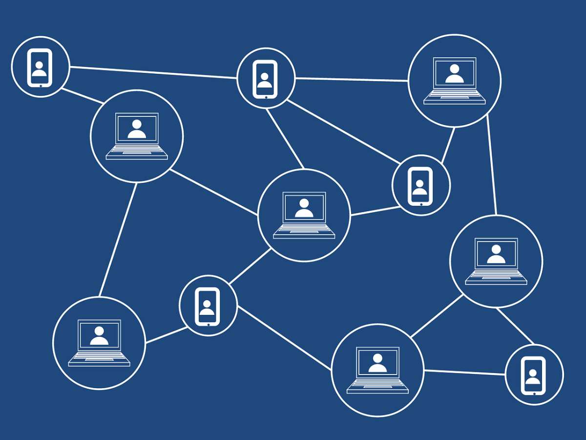 Blockchain Networks