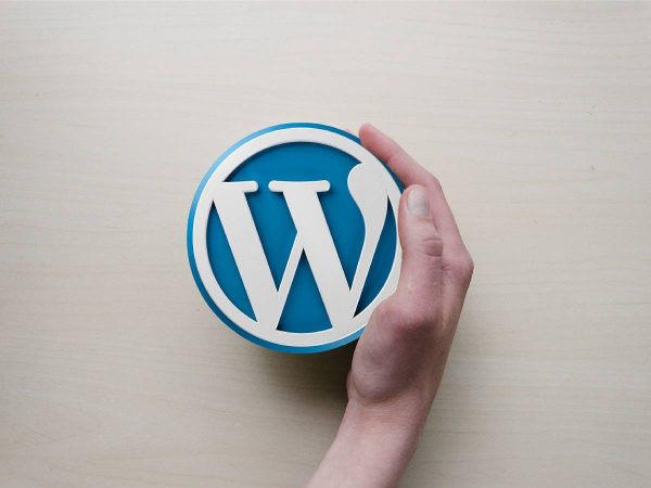 How To Update WordPress?